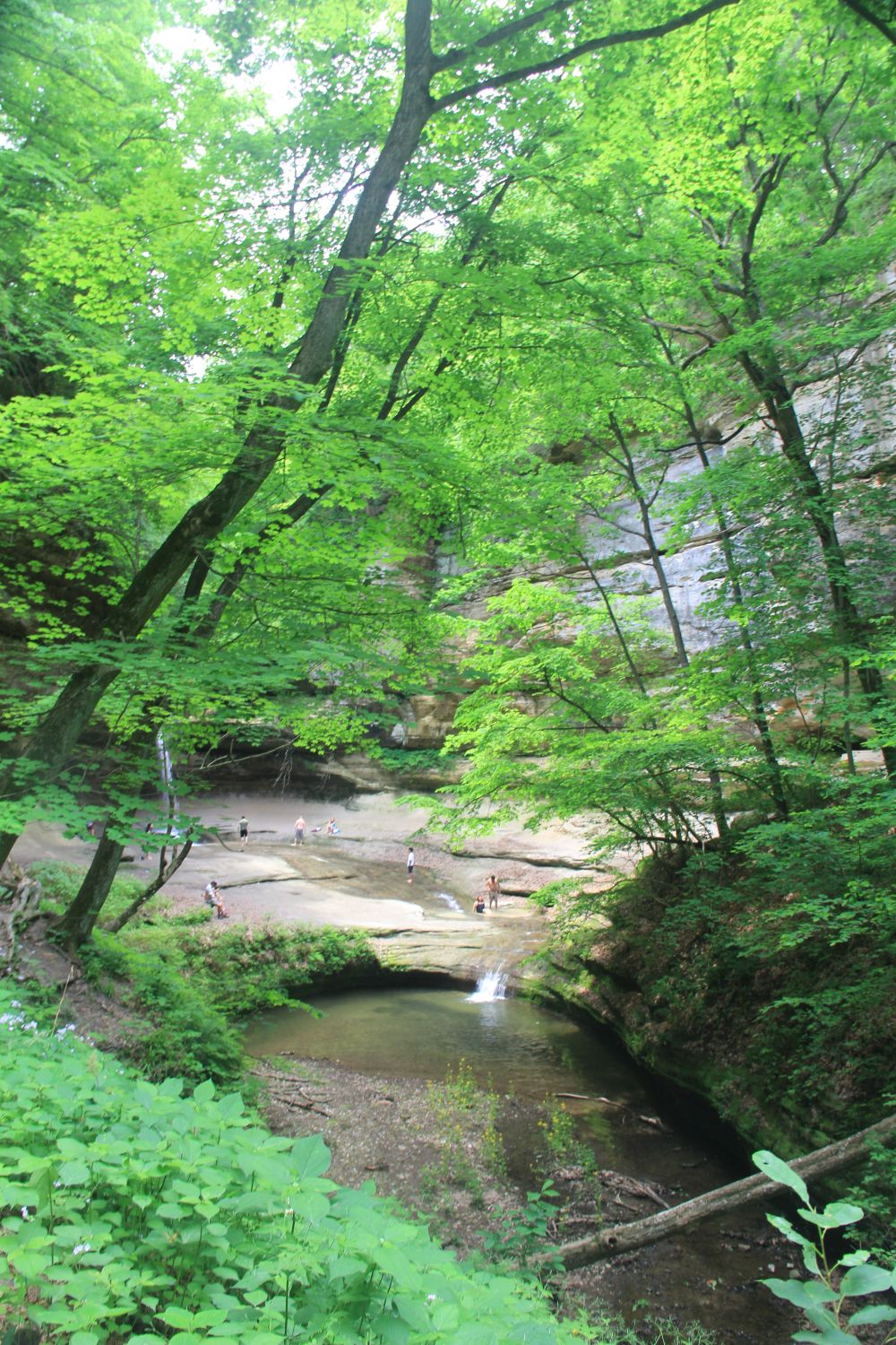 Starved Rock 